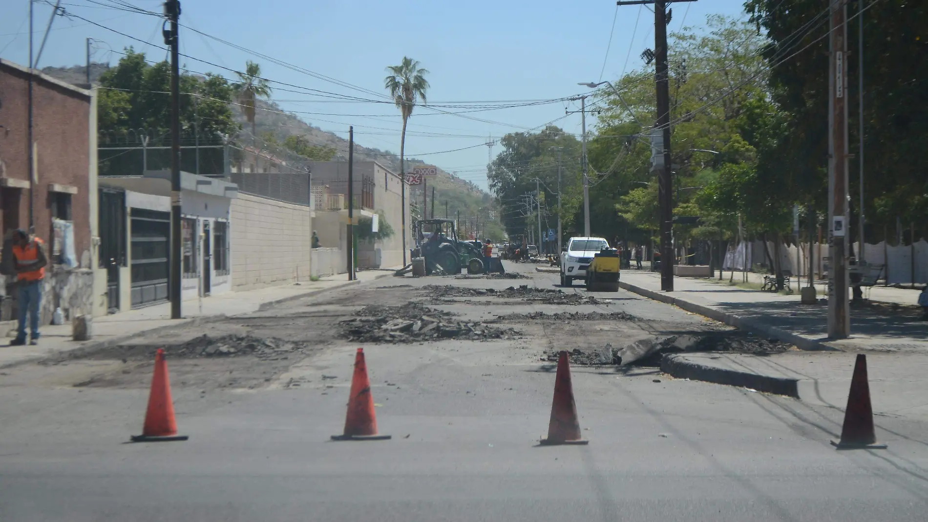 Comerciantes aledaños al Parque Madero